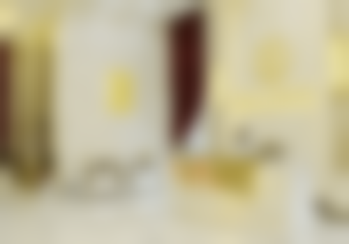 二、高蓉华擅长项目