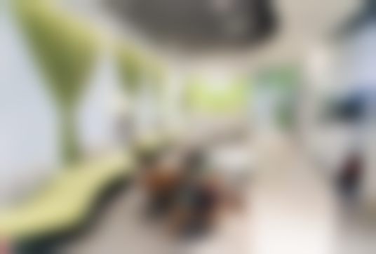 三、黎京雄技术优势