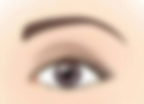 五、袁敬东怎么预约？