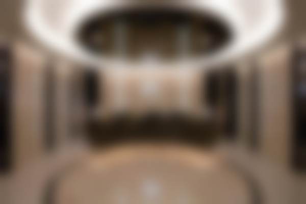 二、金尚瞱擅长项目