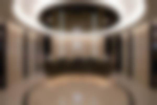 三、金尚瞱技术优势