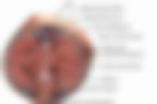 要多少花费头发种植一次？影响费用的因素及价格区间全揭秘！ 