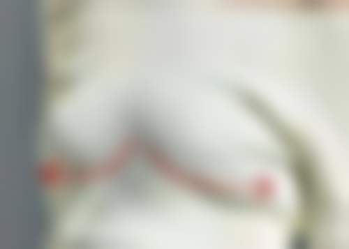 三、牛磊技术优势