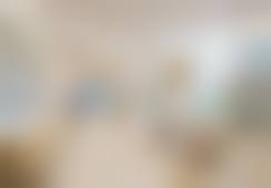 三、庞金坤技术优势