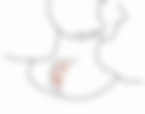 四、佛山氢灵德玛肤整形医院特色项目