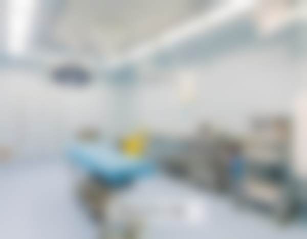 三、夏鑫技术优势