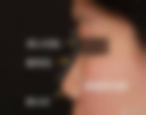 二、尹圣恩擅长项目