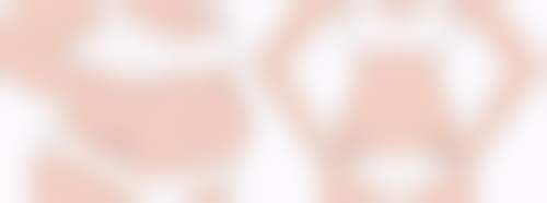 三、宋鸿植技术优势