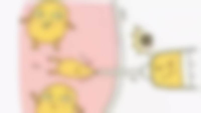 三、韩国美姿（mizslim）吸脂医院诊疗项目有哪些？