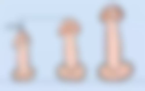 三、程扬技术优势