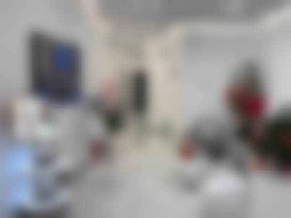 二、黎京雄擅长项目