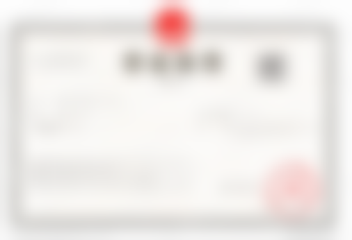 三、黎京雄技术优势