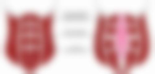 三、西宁恒生骨伤专科医院整形外科诊疗项目有哪些？