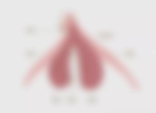 五、襄阳倍加美整形医院价格表