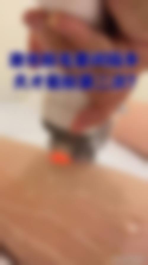 三、李风华技术优势