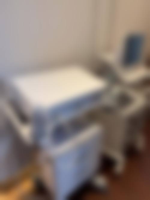 二、朱仪谨擅长项目