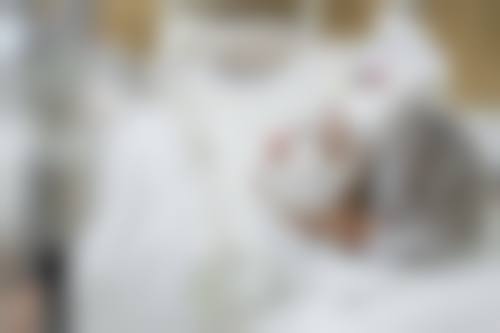 四、朱仪谨收费价格表
