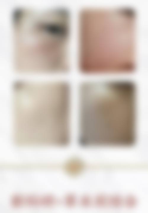 二、刘小意擅长项目