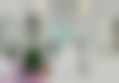 二、刘美佳子擅长项目