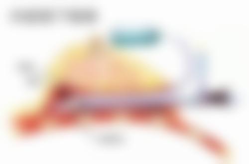 三、叶锋医生相关项目介绍