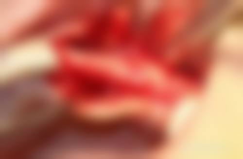 医院资质与实力:正规资历与品牌信任