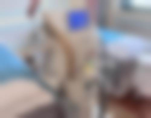 七、武汉普玥缇医疗美容门诊所预约方式