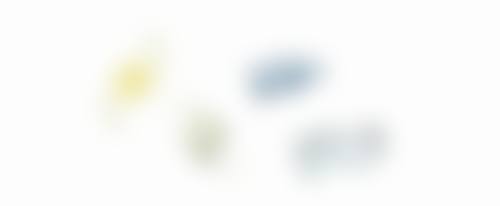 三、唐兴林技术优势