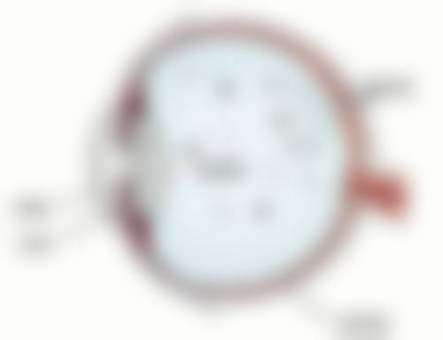 FAQ 常见问题解答