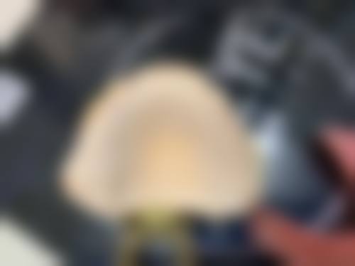 诊疗特色总结