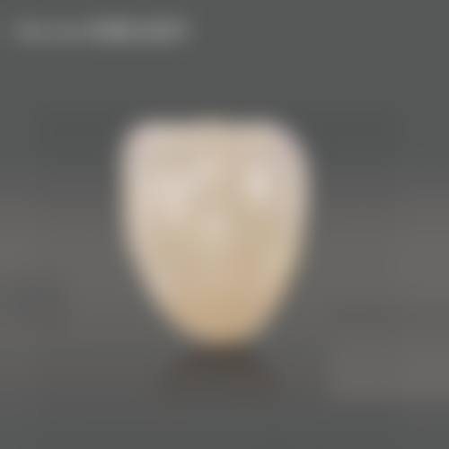 FAQ常见问题解答