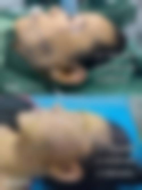 三、侯丽平技术优势