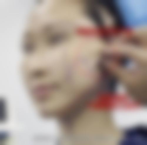 二、侯丽平擅长项目