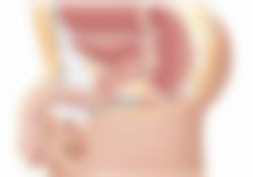 三、上海德琳医疗美容医院其他医生及项目价格