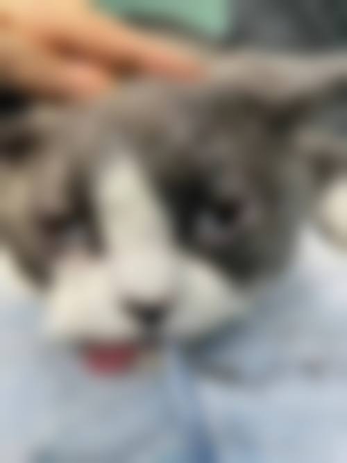 临床实例分享